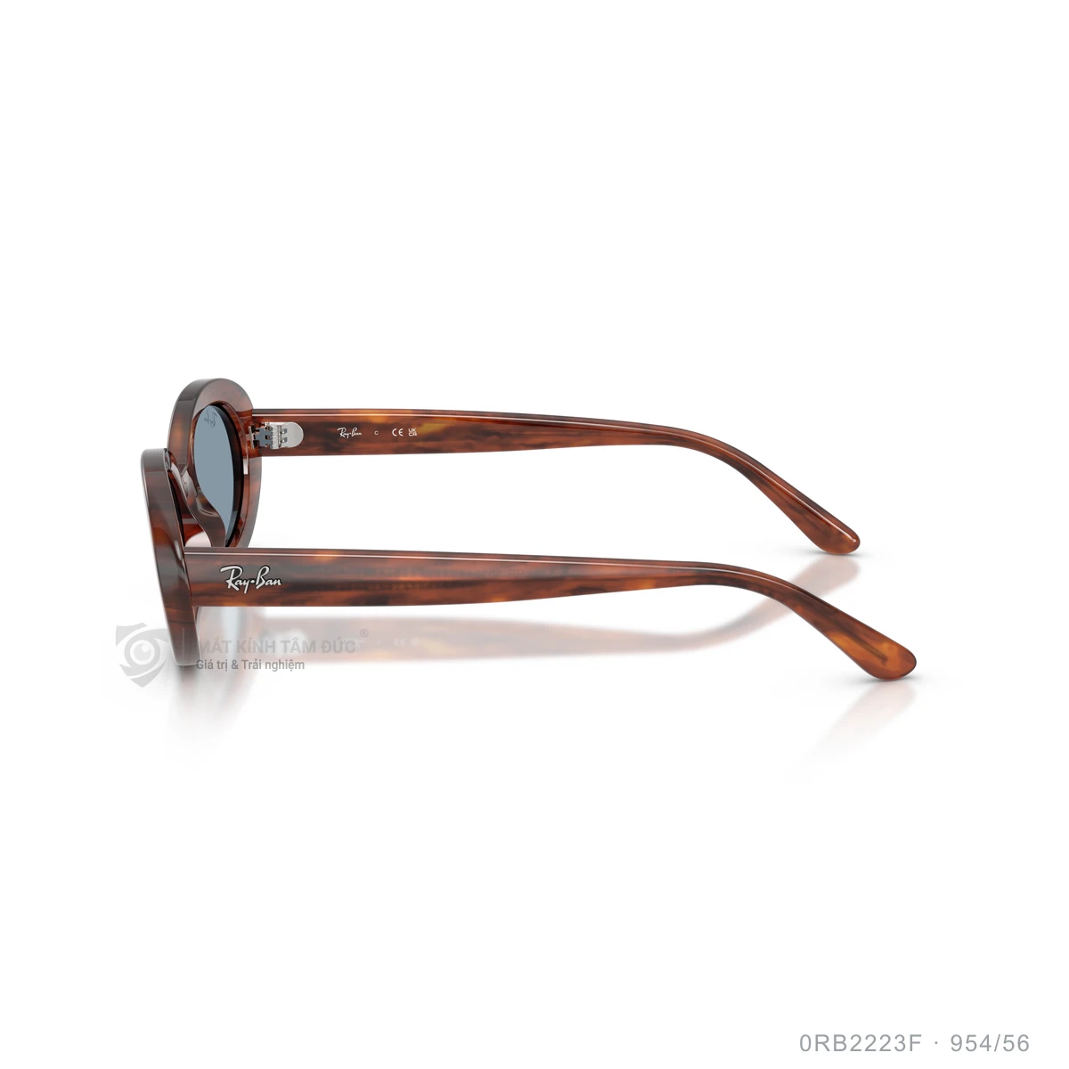 Kính mát Rayban 0RB2223F - Ảnh 34