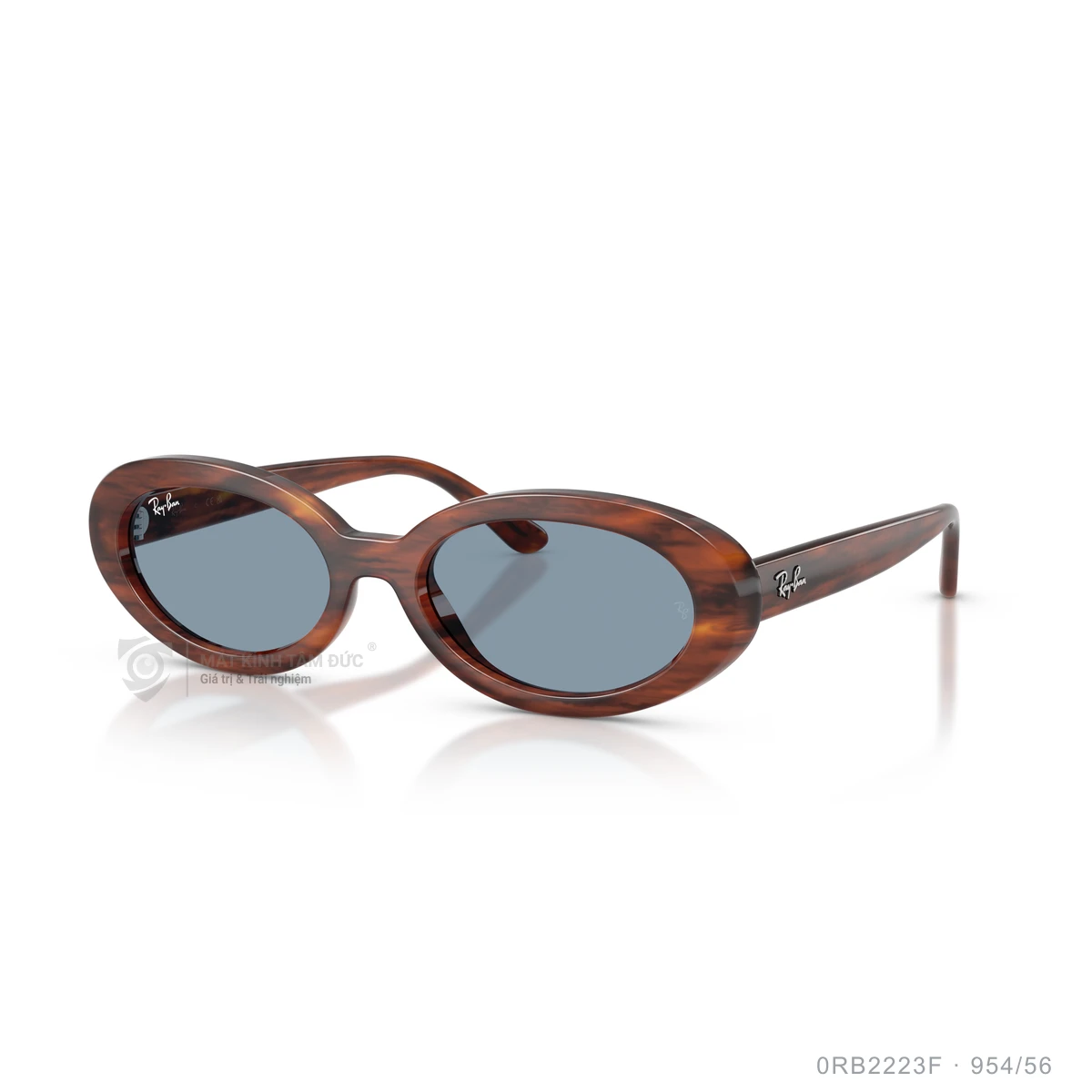 Kính mát Rayban 0RB2223F - Ảnh 32