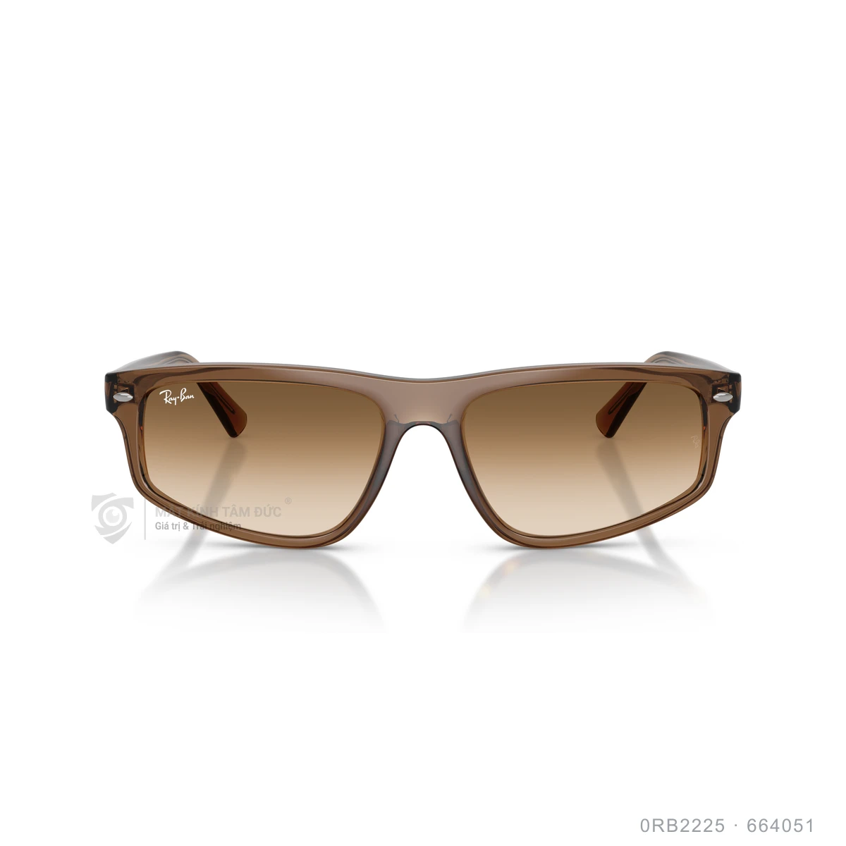 Hình ảnh thực tế Kính mát Rayban 0RB2225