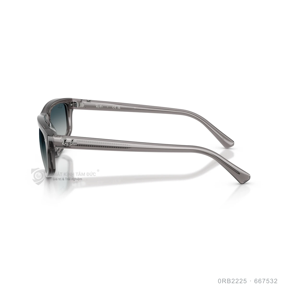 Kính mát Rayban 0RB2225 - Ảnh 9