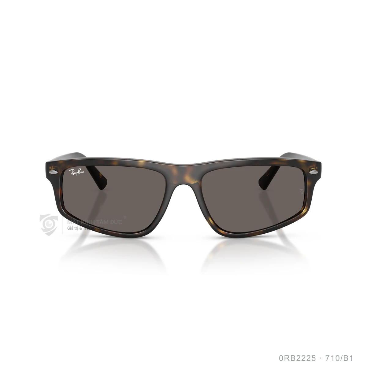Kính mát Rayban 0RB2225 - Ảnh 16