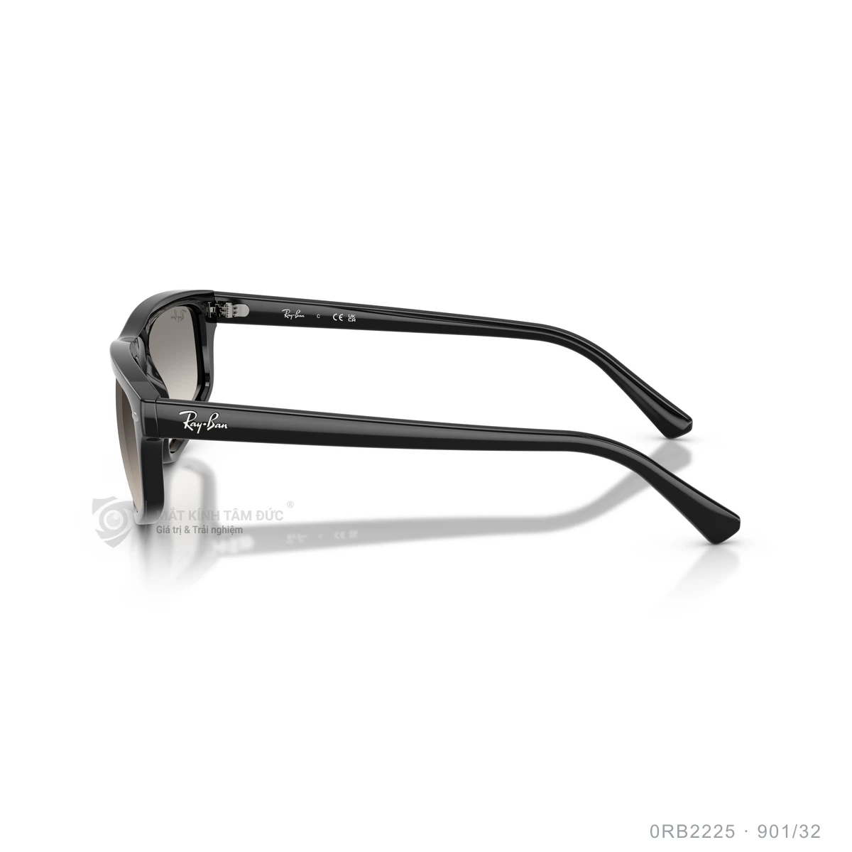 Kính mát Rayban 0RB2225 - Ảnh 29