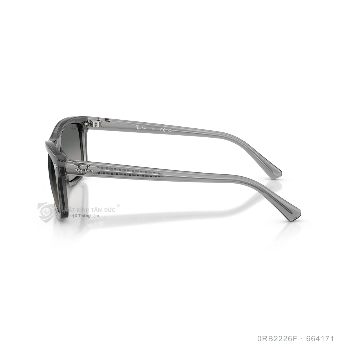 Kính mát Rayban 0RB2226F - Ảnh 19