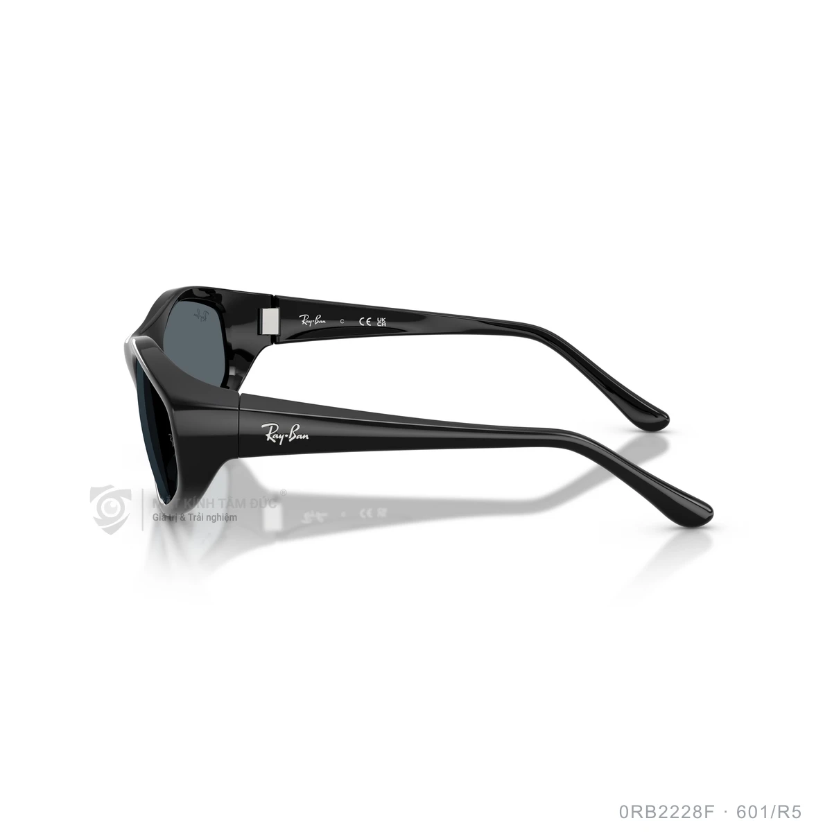 Kính mát Rayban 0RB2228F - Ảnh 4
