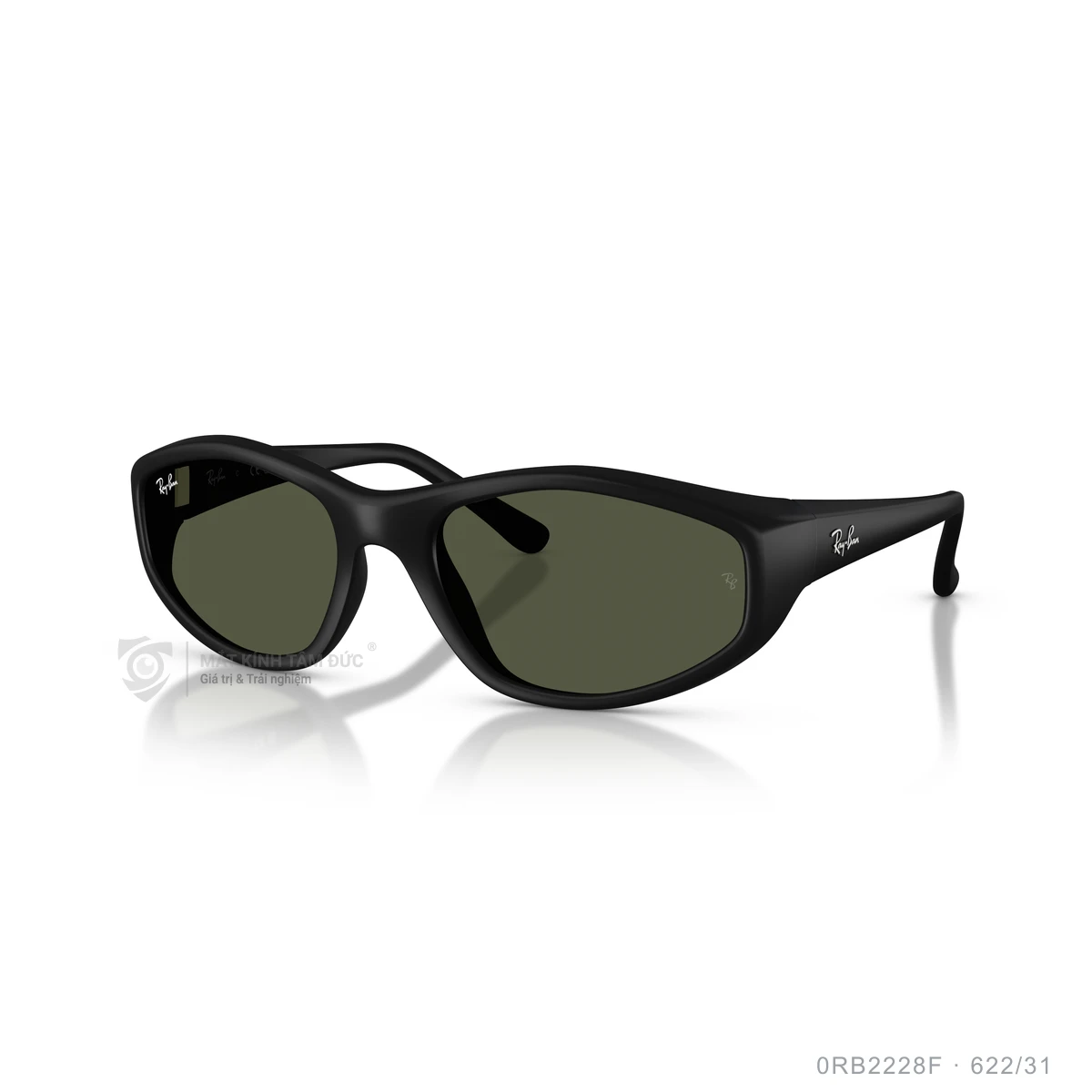 Kính mát Rayban 0RB2228F - Ảnh 7