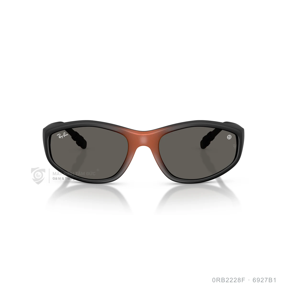 Kính mát Rayban 0RB2228F - Ảnh 16