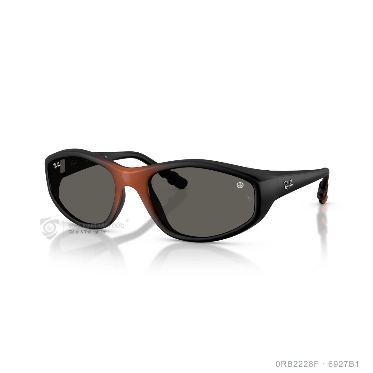 Kính mát Rayban 0RB2228F - Ảnh 17