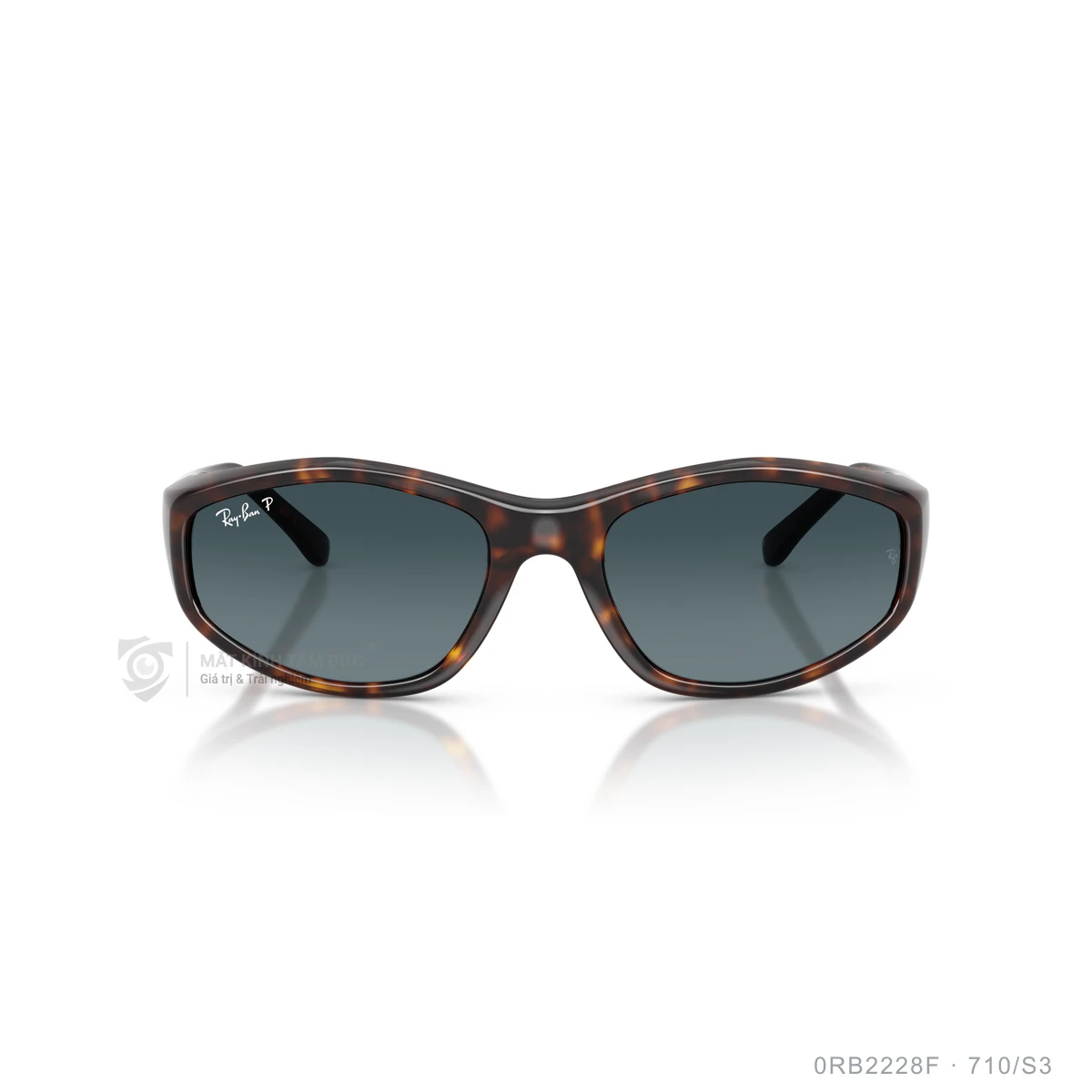 Kính mát Rayban 0RB2228F - Ảnh 21