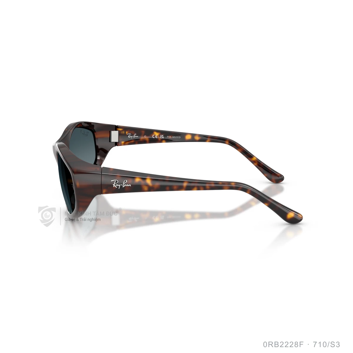 Kính mát Rayban 0RB2228F - Ảnh 24