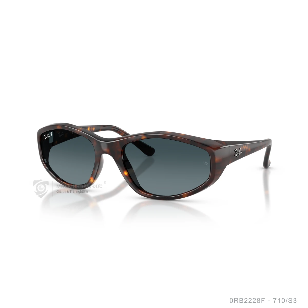 Kính mát Rayban 0RB2228F - Ảnh 22