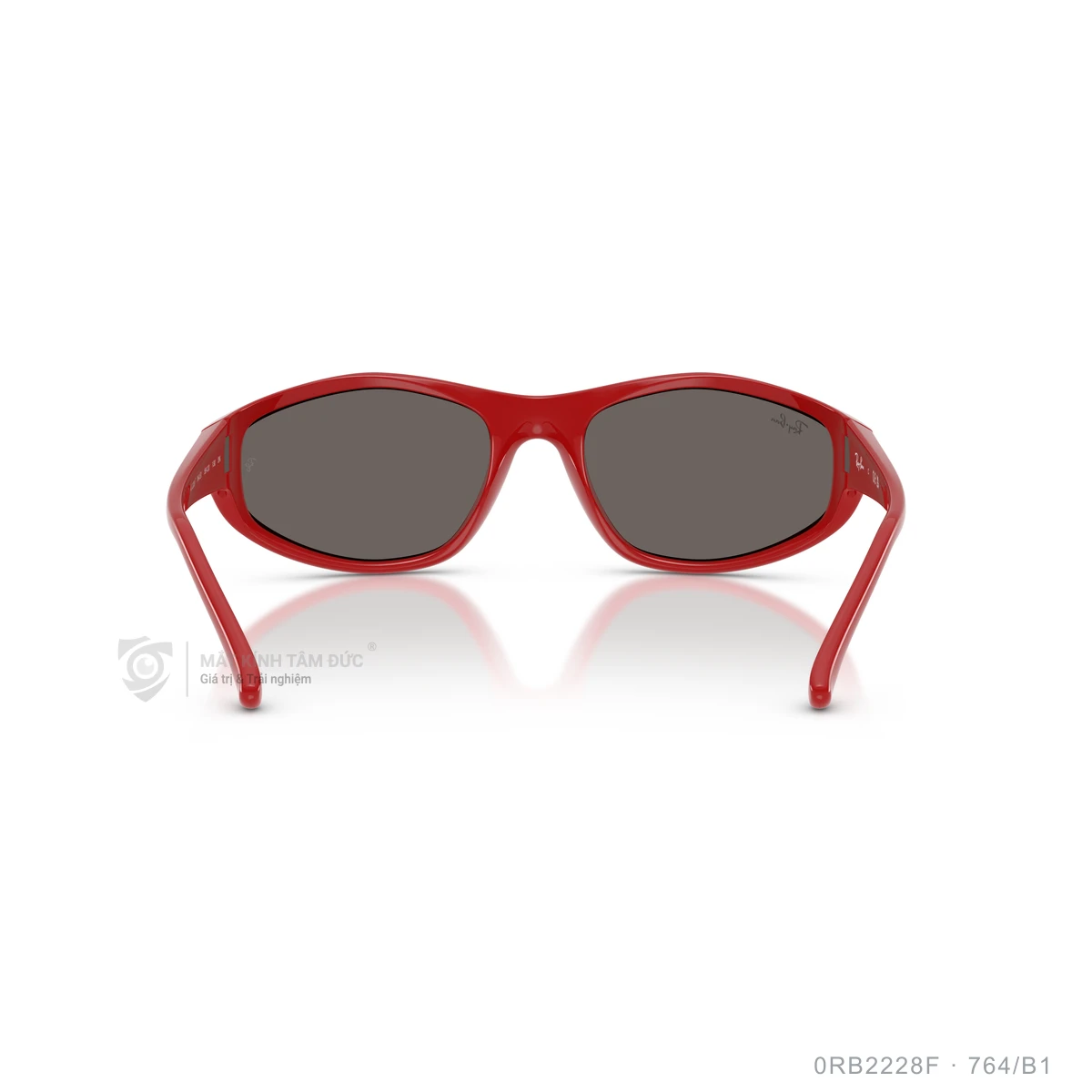 Kính mát Rayban 0RB2228F - Ảnh 30