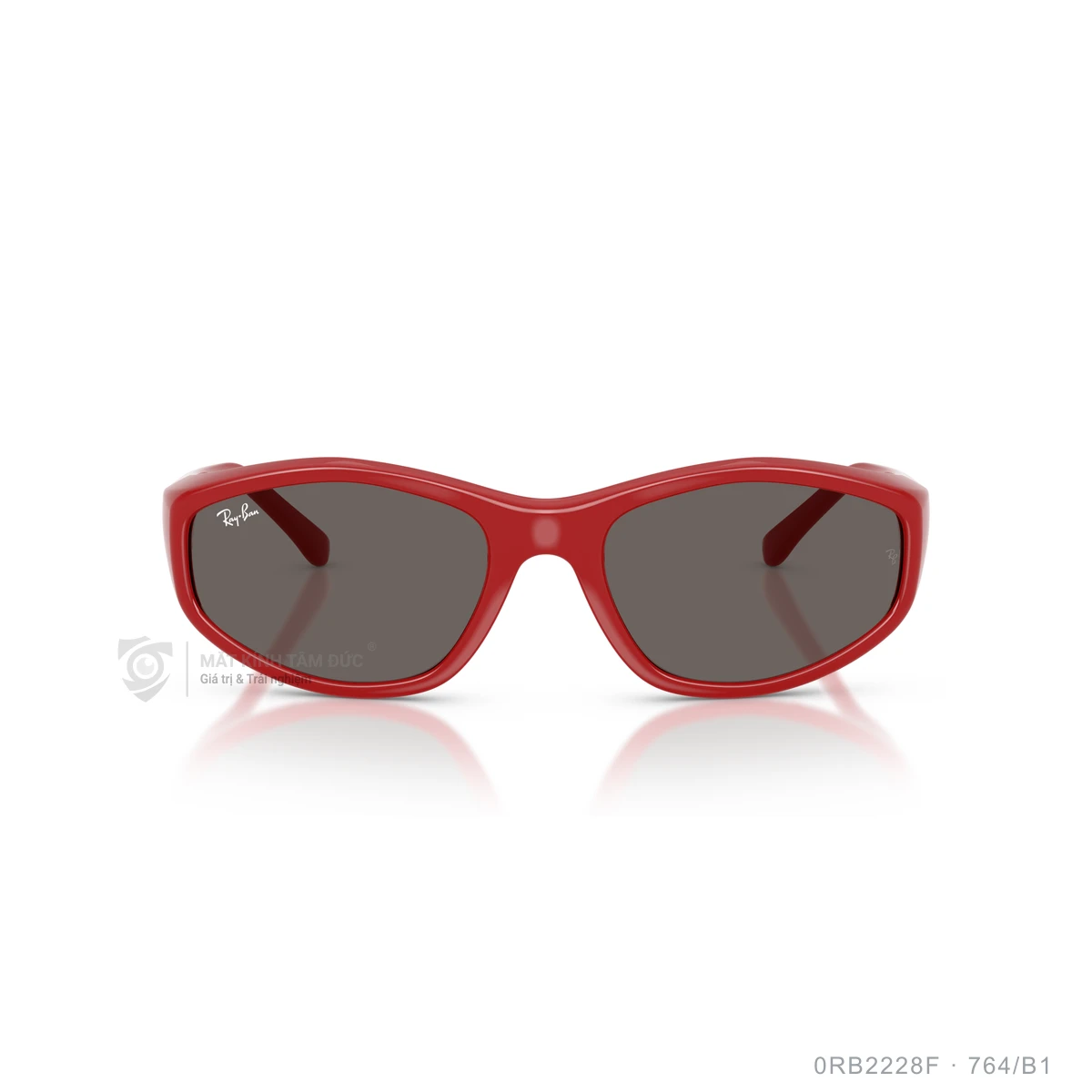 Kính mát Rayban 0RB2228F - Ảnh 26