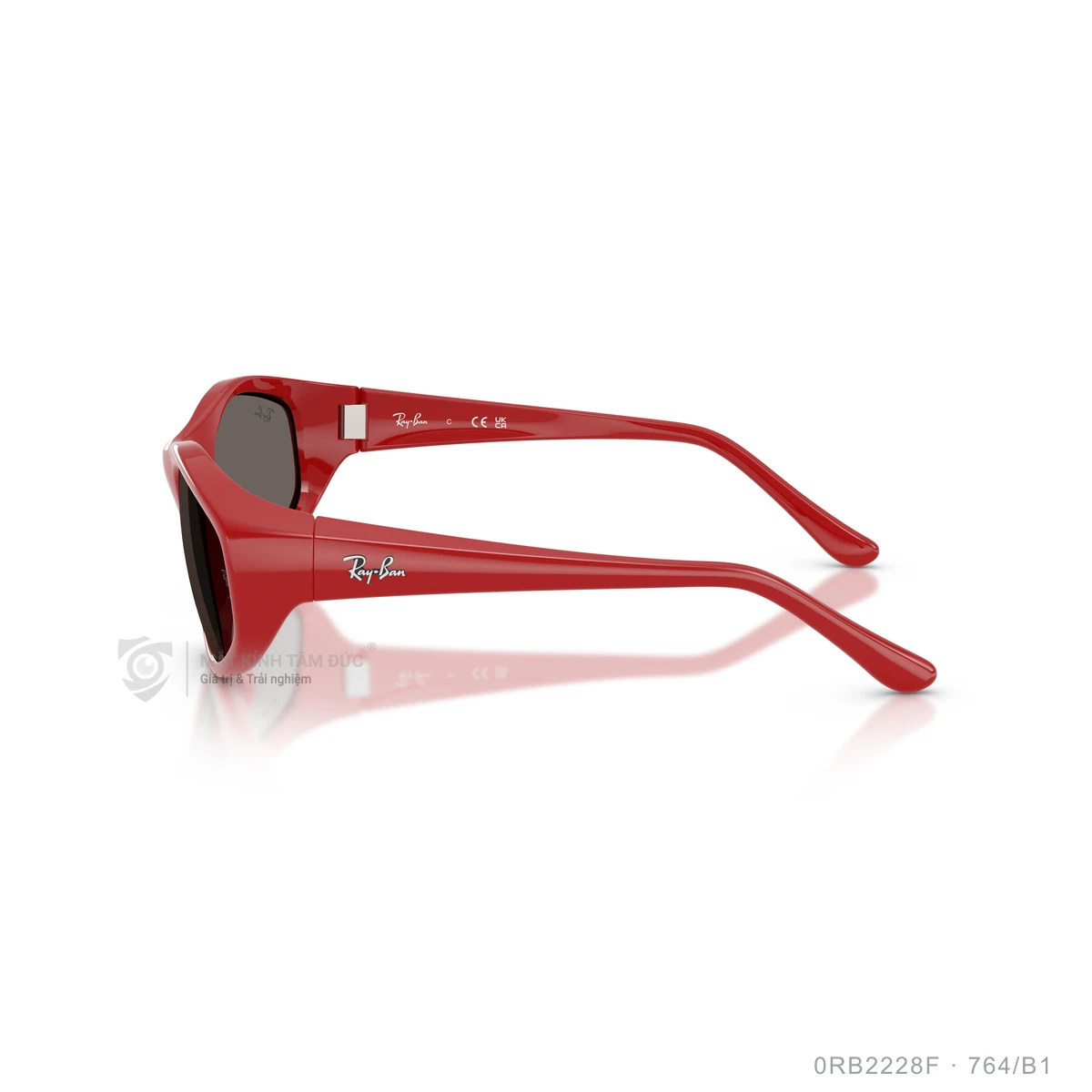 Kính mát Rayban 0RB2228F - Ảnh 29
