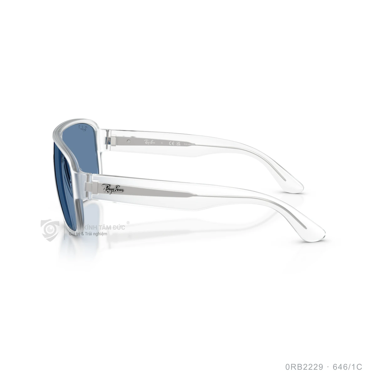 Kính mát Rayban 0RB2229 - Ảnh 9