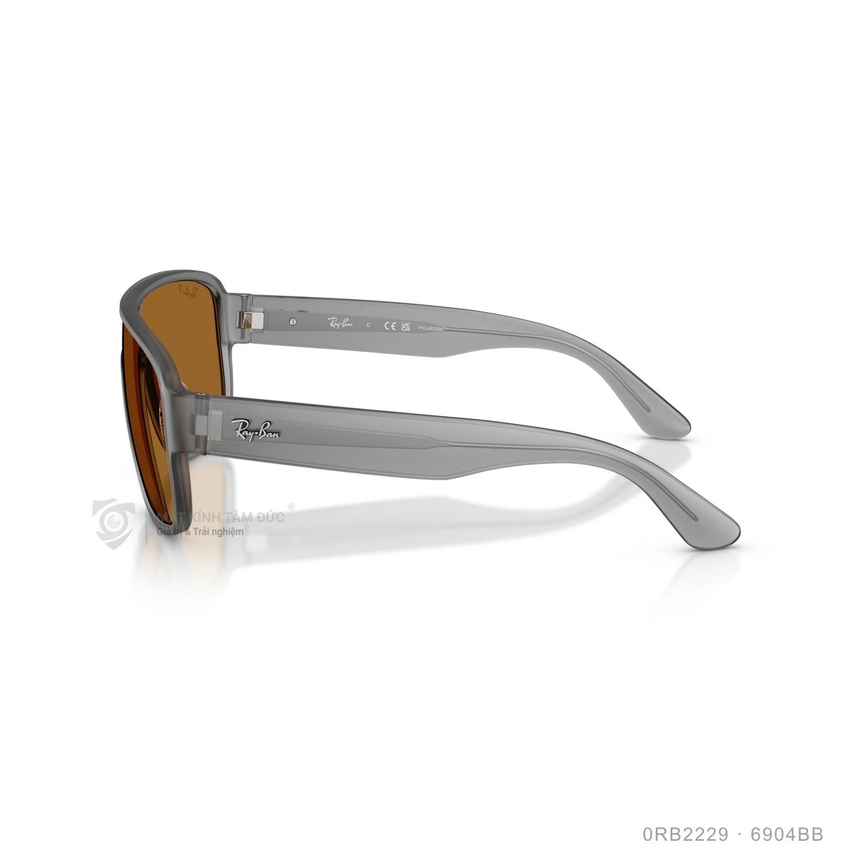 Kính mát Rayban 0RB2229 - Ảnh 4