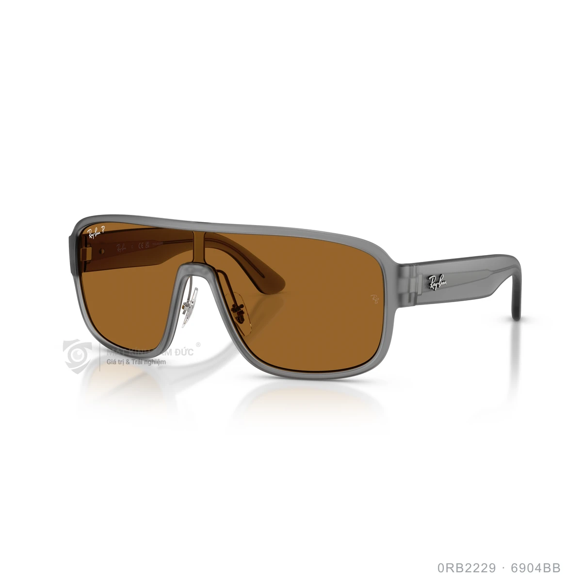 Chi tiết góc nghiêng Kính mát Rayban 0RB2229