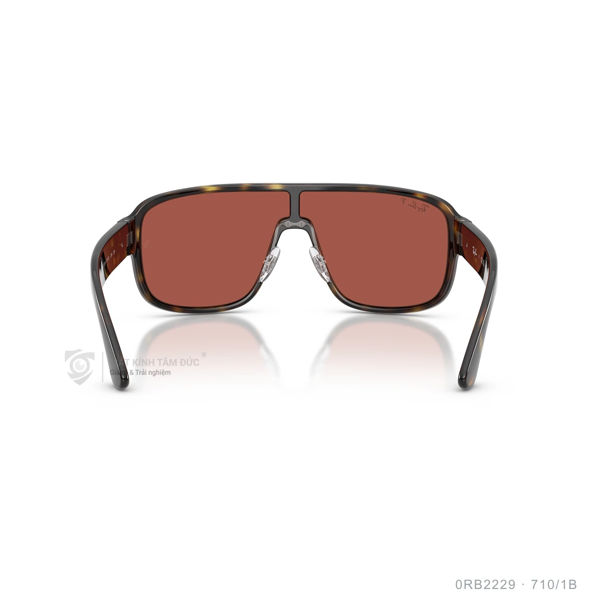 Kính mát Rayban 0RB2229 - Ảnh 15