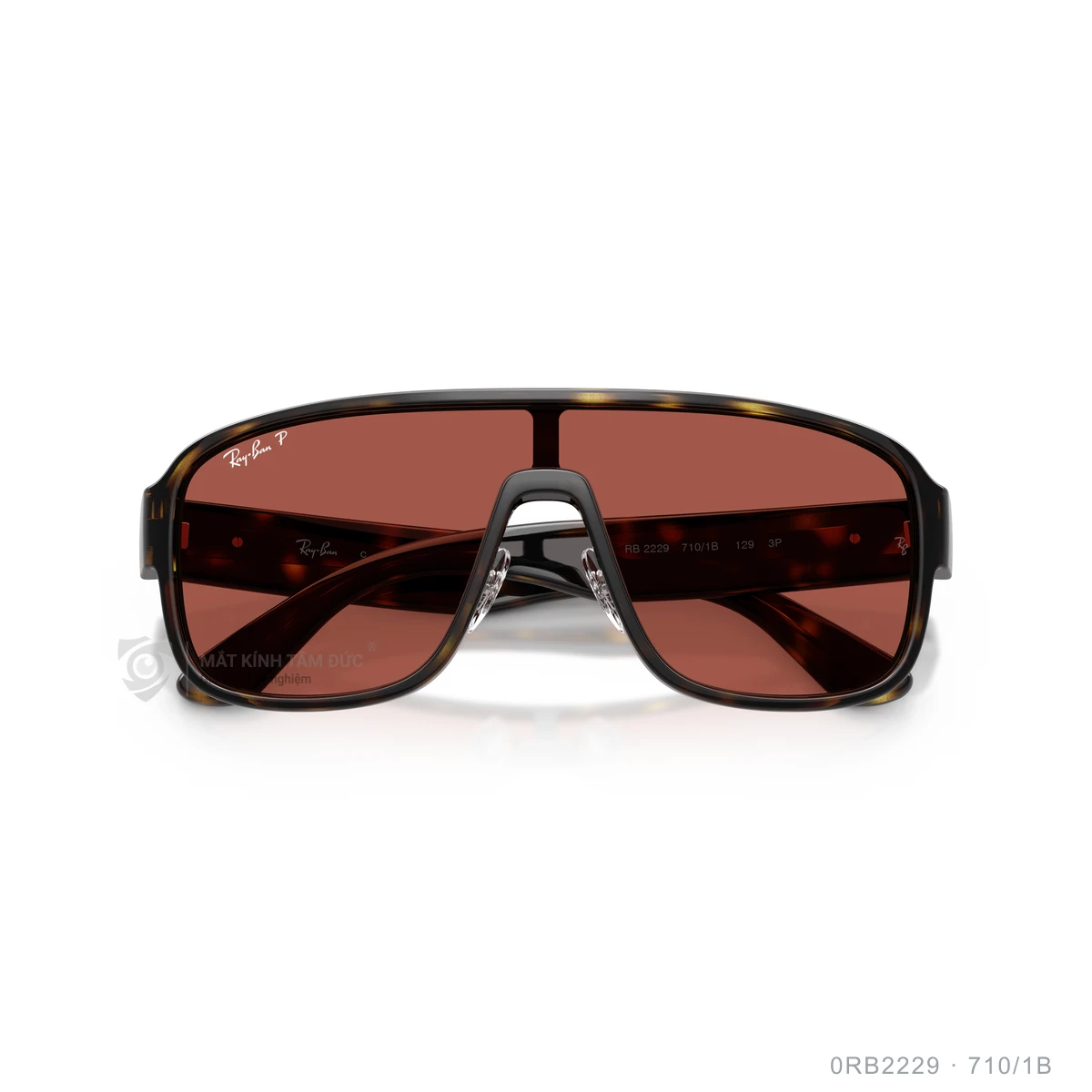 Kính mát Rayban 0RB2229 - Ảnh 13