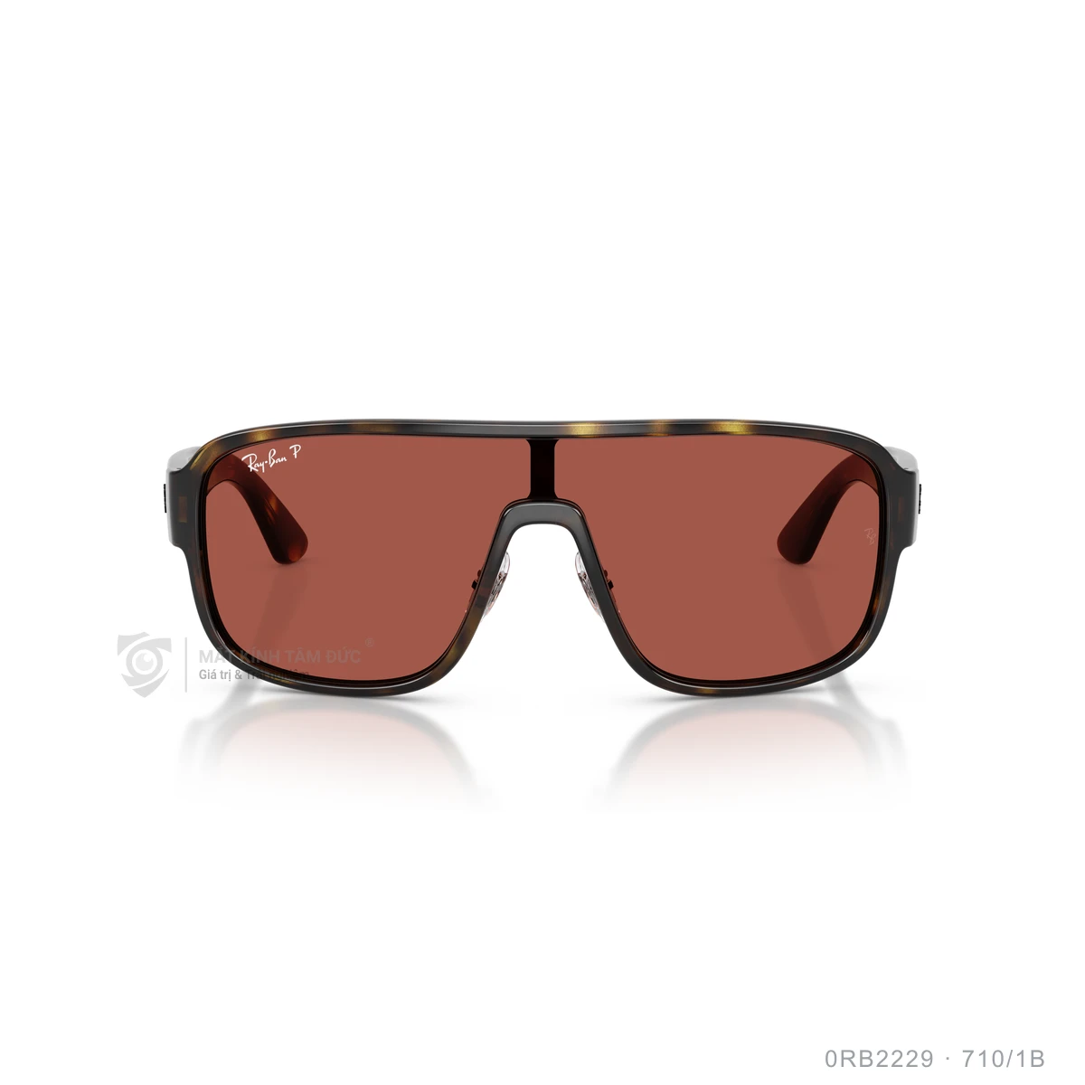 Kính mát Rayban 0RB2229 - Ảnh 11