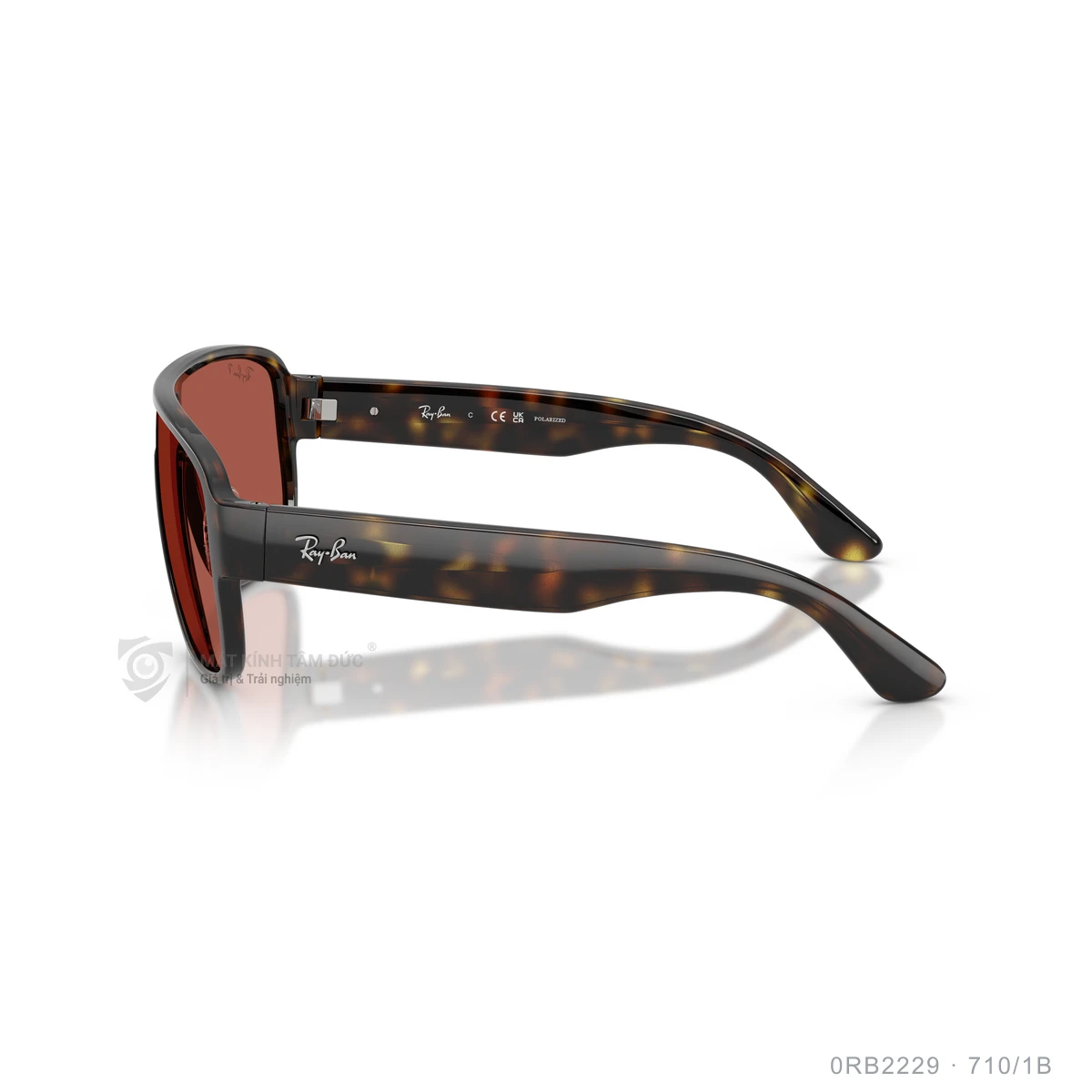 Kính mát Rayban 0RB2229 - Ảnh 14