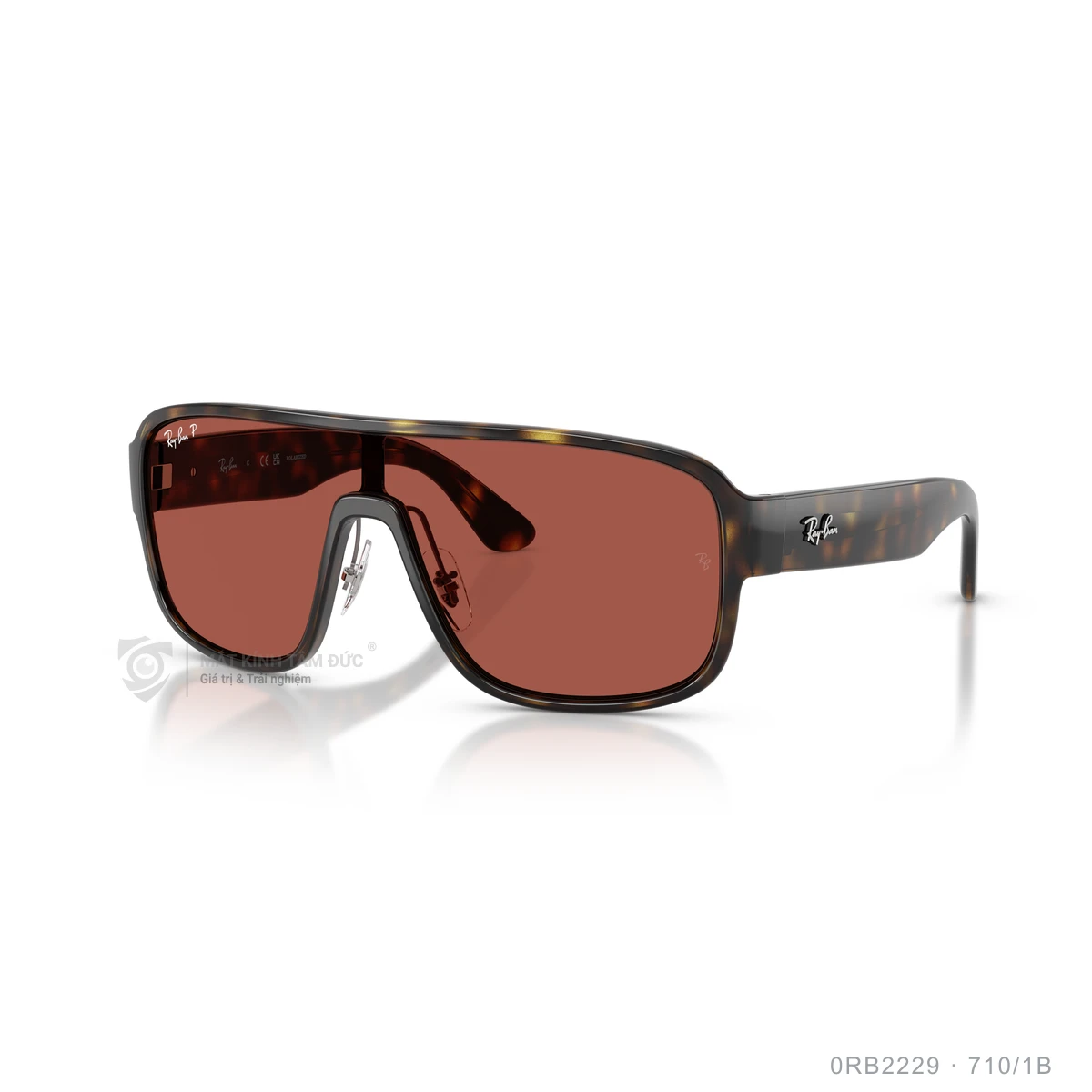 Kính mát Rayban 0RB2229 - Ảnh 12