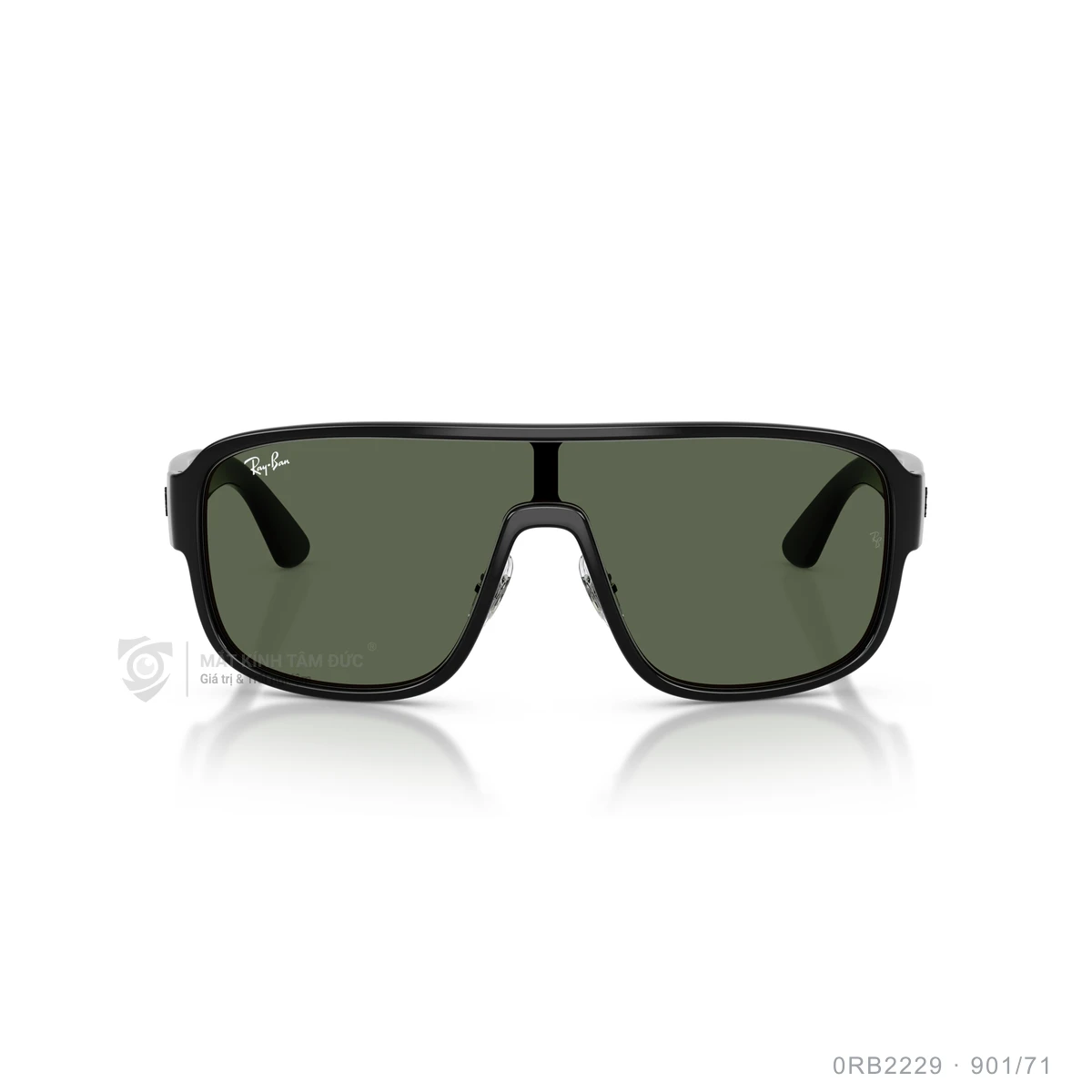 Kính mát Rayban 0RB2229 - Ảnh 16