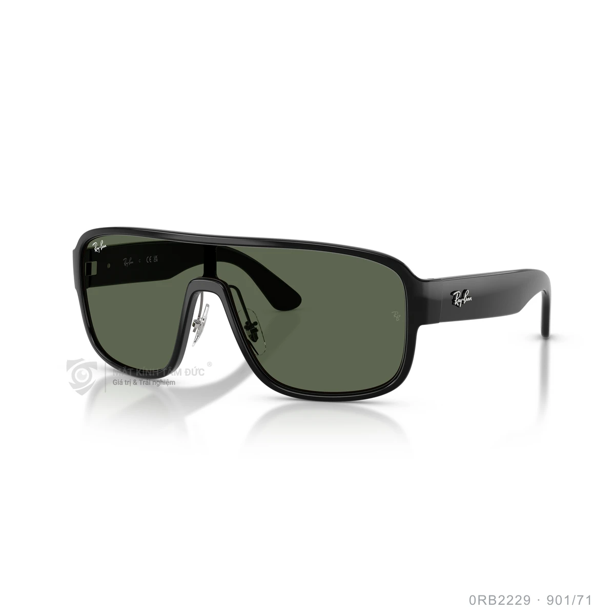 Kính mát Rayban 0RB2229 - Ảnh 17