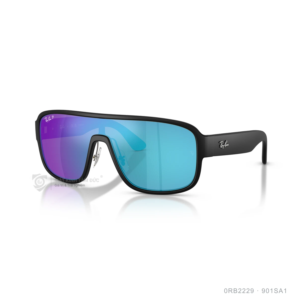 Kính mát Rayban 0RB2229 - Ảnh 22