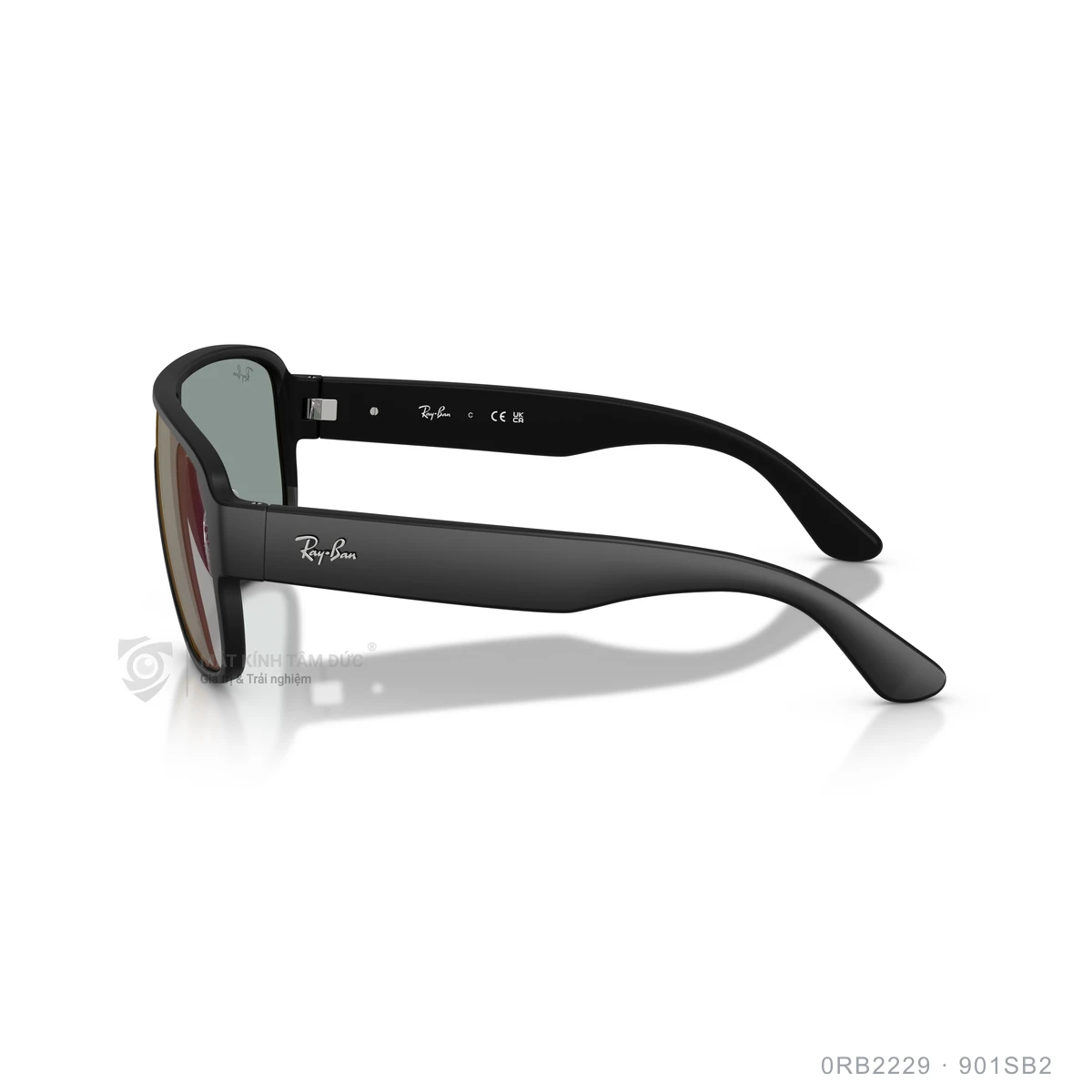 Kính mát Rayban 0RB2229 - Ảnh 29