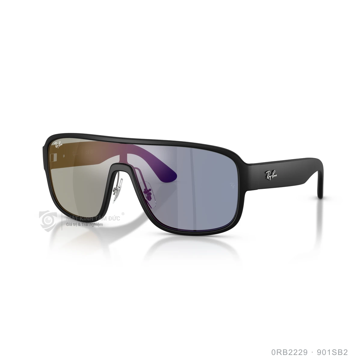 Kính mát Rayban 0RB2229 - Ảnh 27
