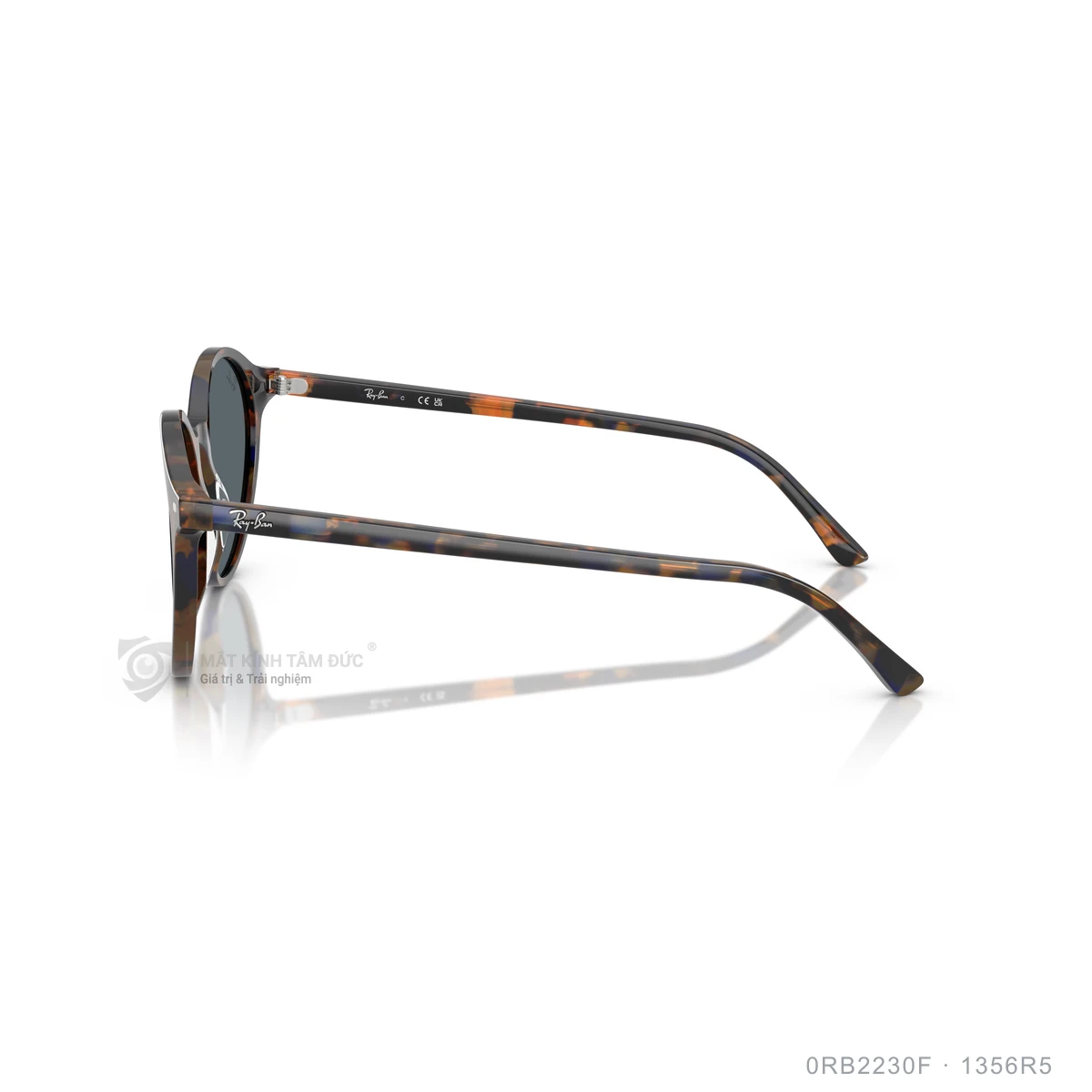 Kính mát Rayban 0RB2230F - Ảnh 4