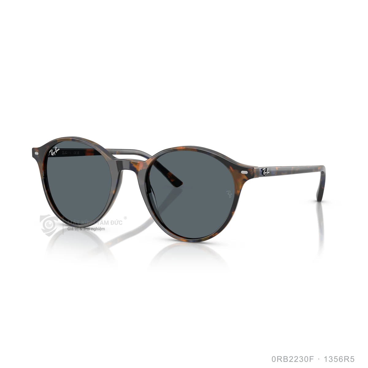 Chi tiết góc nghiêng Kính mát Rayban 0RB2230F