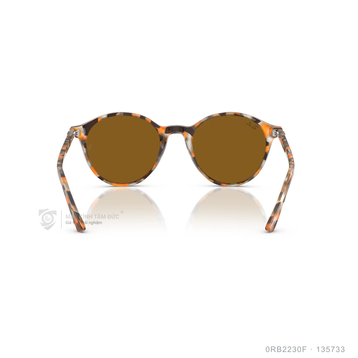 Kính mát Rayban 0RB2230F - Ảnh 10
