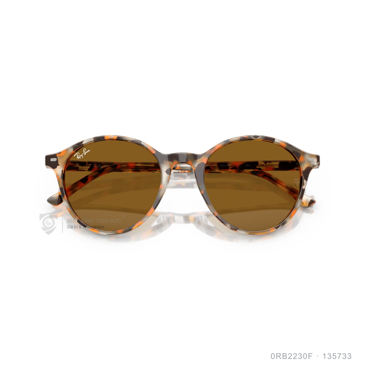 Kính mát Rayban 0RB2230F - Ảnh 8