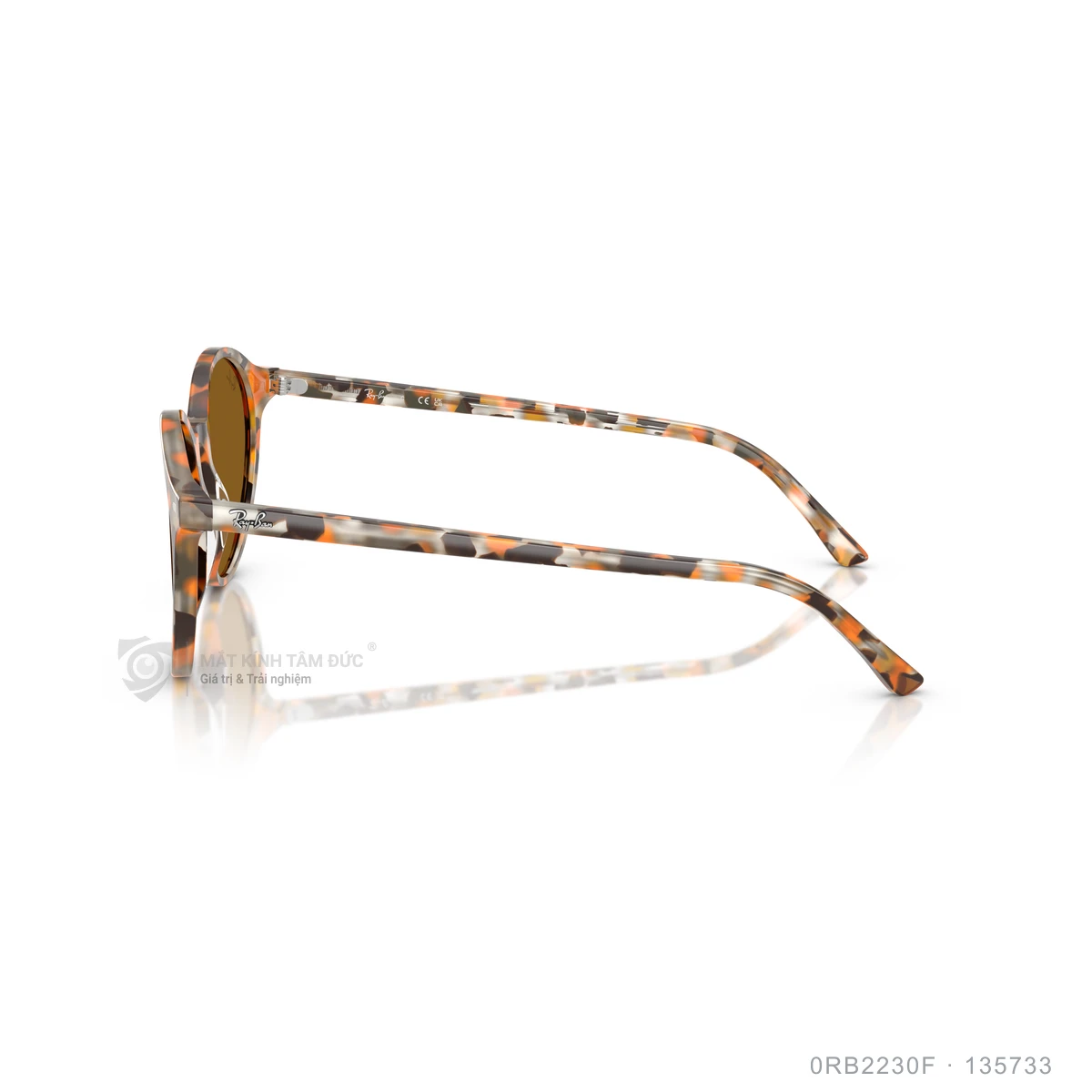 Kính mát Rayban 0RB2230F - Ảnh 9