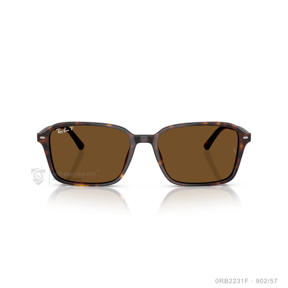 Kính mát Rayban 0RB2231F - Ảnh 6