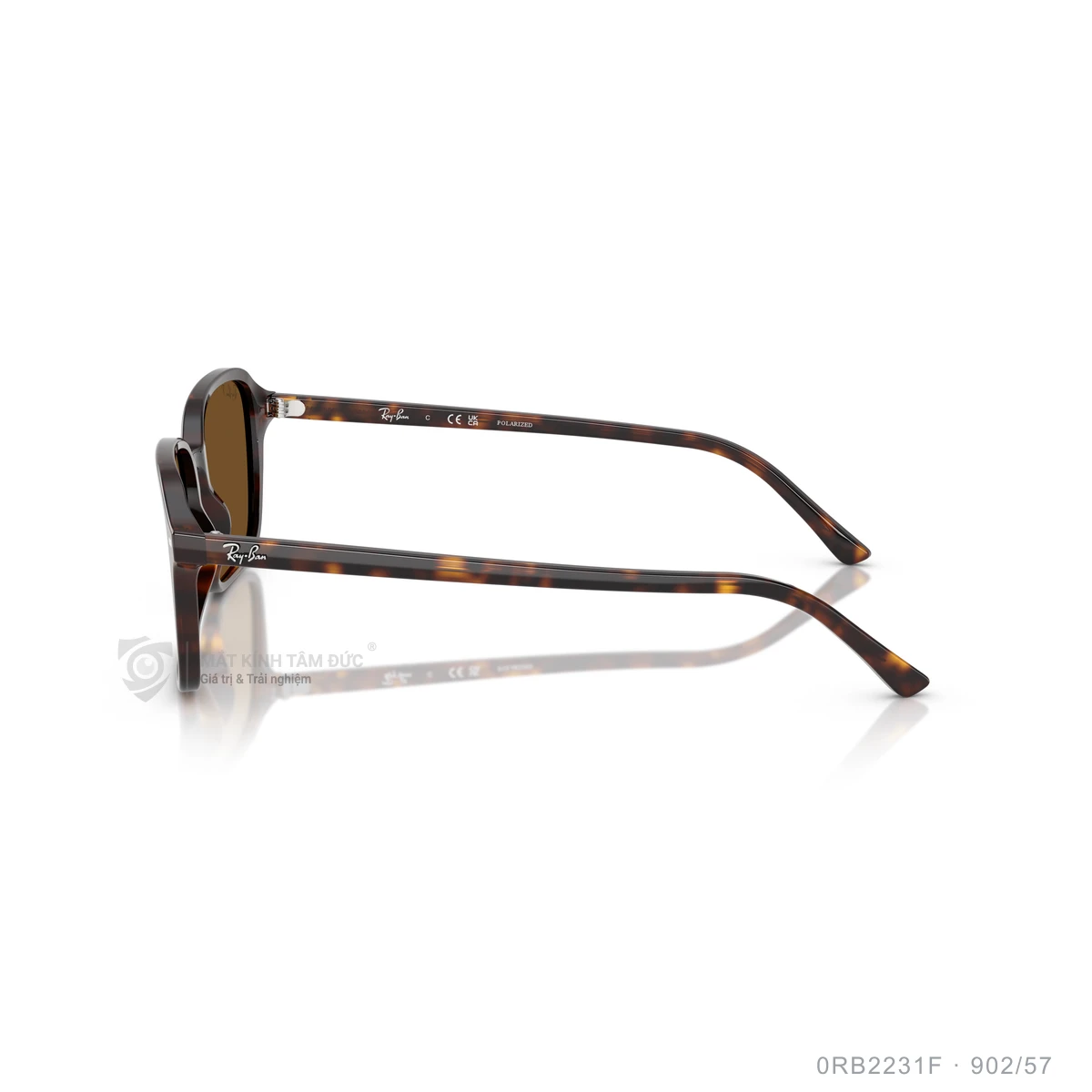 Kính mát Rayban 0RB2231F - Ảnh 9