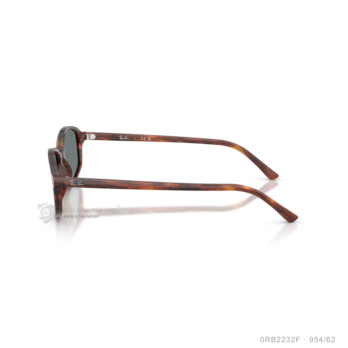Kính mát Rayban 0RB2232F - Ảnh 14