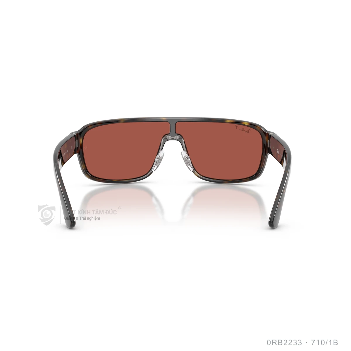 Kính mát Rayban 0RB2233 - Ảnh 15