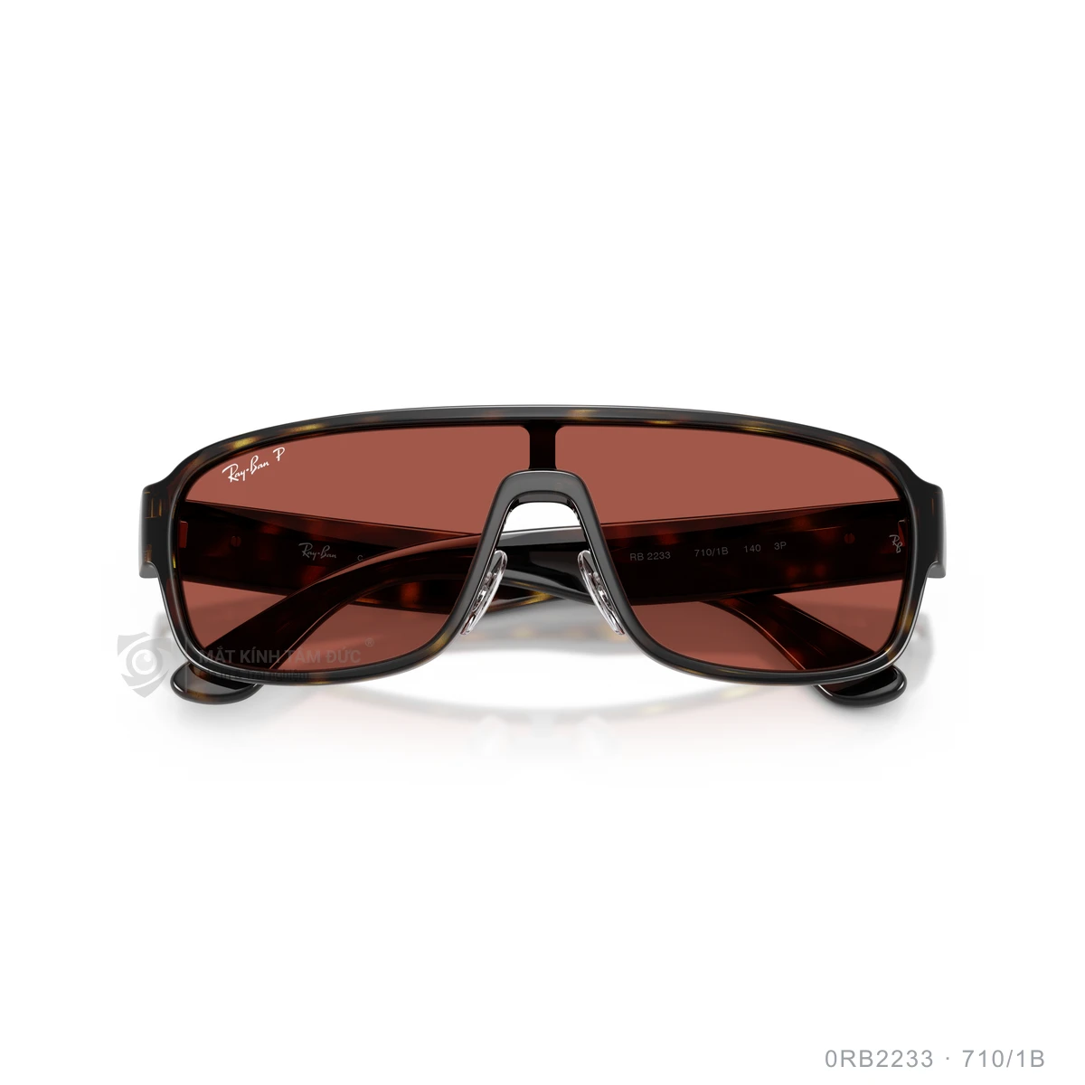 Kính mát Rayban 0RB2233 - Ảnh 13