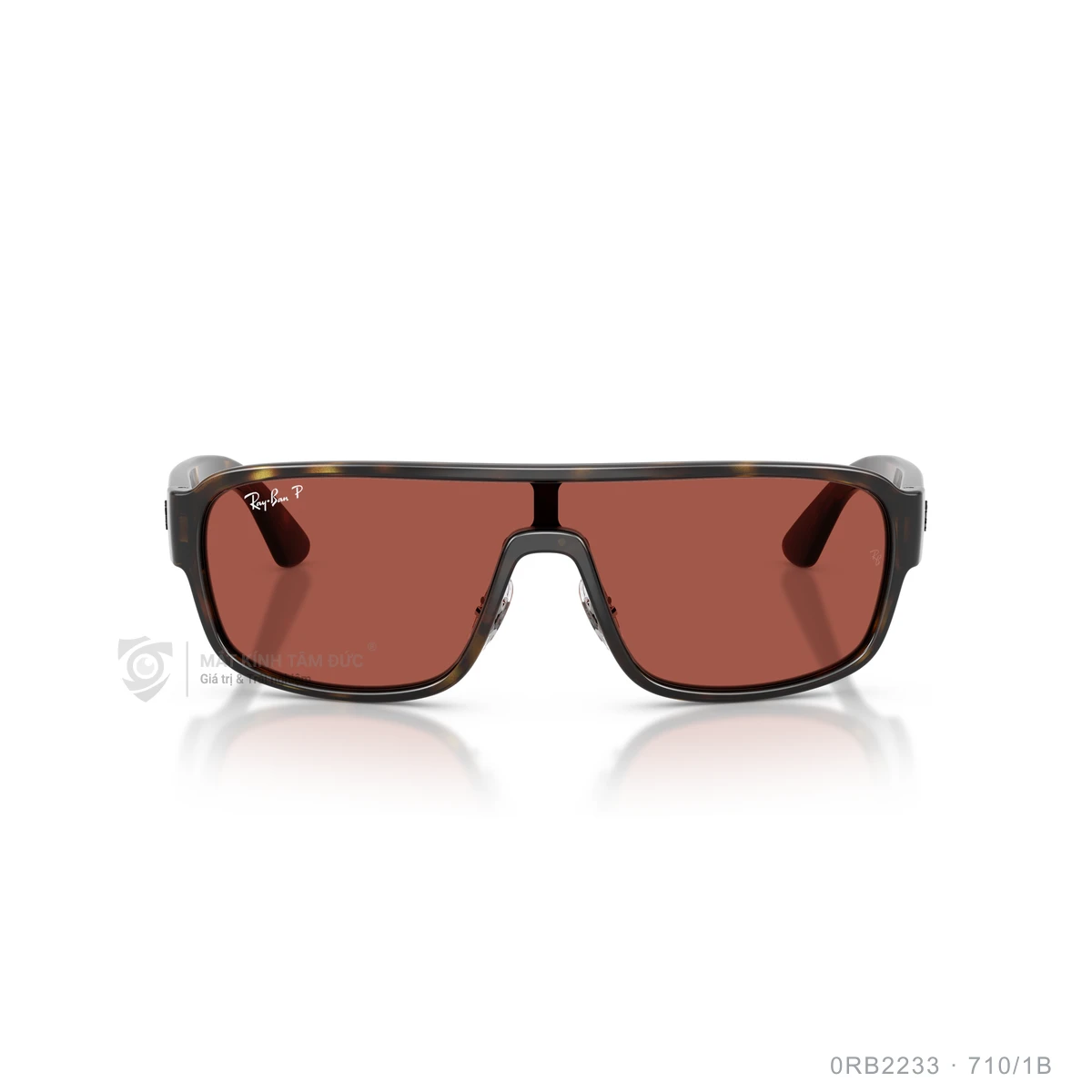 Kính mát Rayban 0RB2233 - Ảnh 11