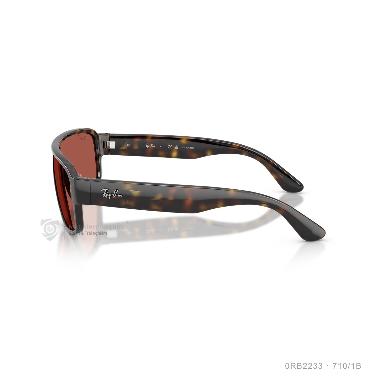 Kính mát Rayban 0RB2233 - Ảnh 14