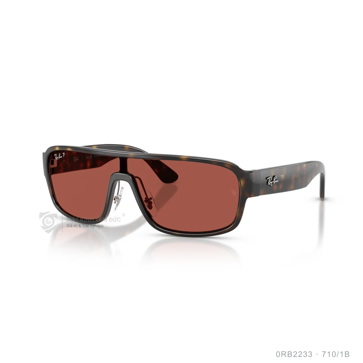 Kính mát Rayban 0RB2233 - Ảnh 12