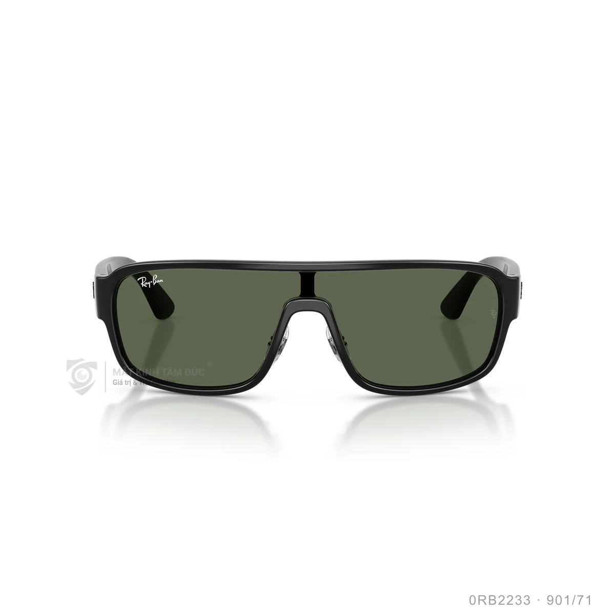 Kính mát Rayban 0RB2233 - Ảnh 16