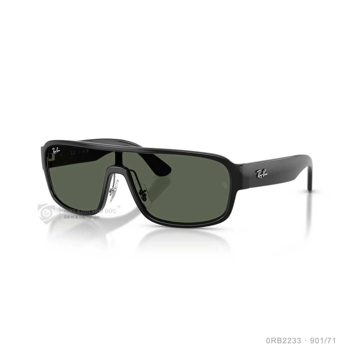 Kính mát Rayban 0RB2233 - Ảnh 17