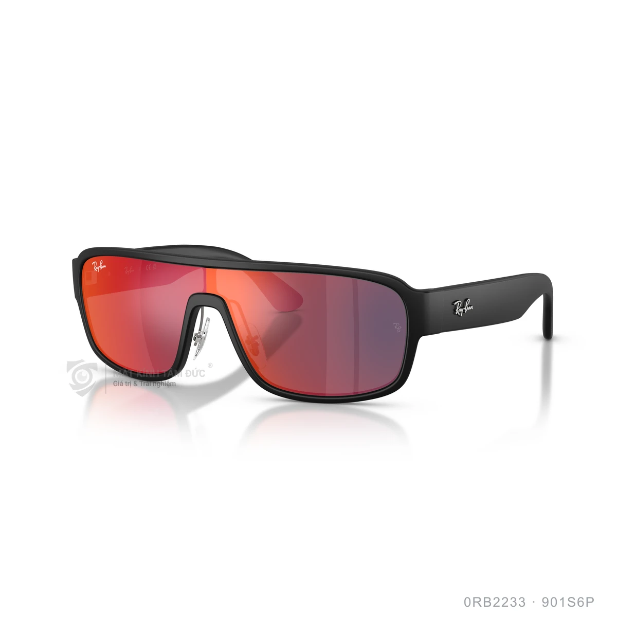 Kính mát Rayban 0RB2233 - Ảnh 22