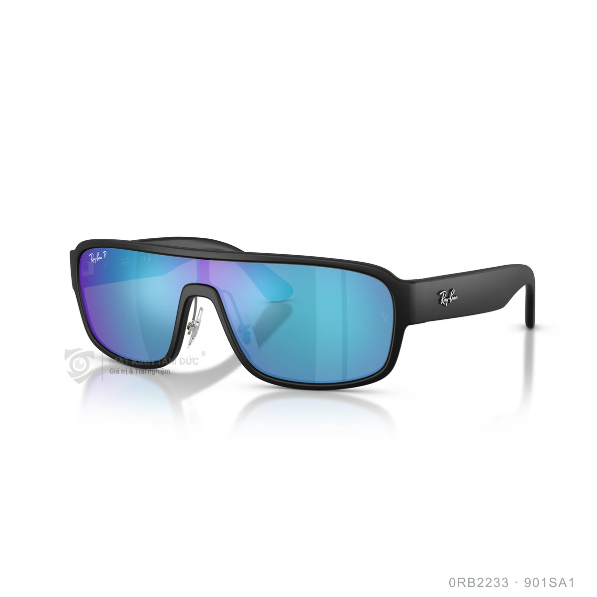 Kính mát Rayban 0RB2233 - Ảnh 27