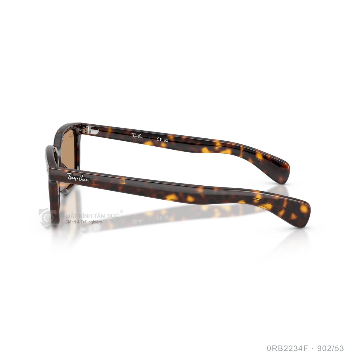 Kính mát Rayban 0RB2234F - Ảnh 24