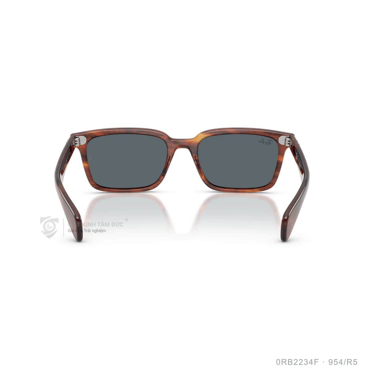 Kính mát Rayban 0RB2234F - Ảnh 35