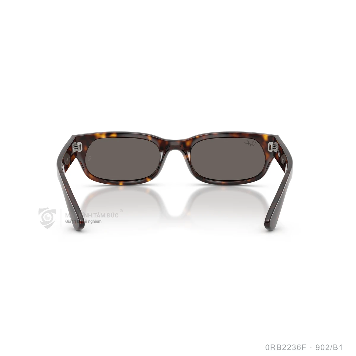 Kính mát Rayban 0RB2236F - Ảnh 20